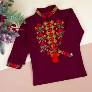 Вишиванка для хлопчиків "Богдан", бордового кольору